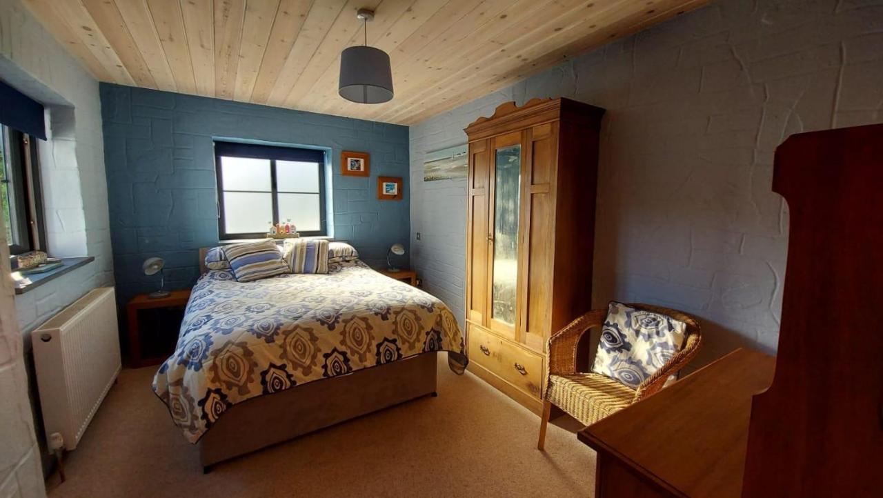 No 1 Dolheulog Aberaeron Sa46 0Ep 빌라 외부 사진